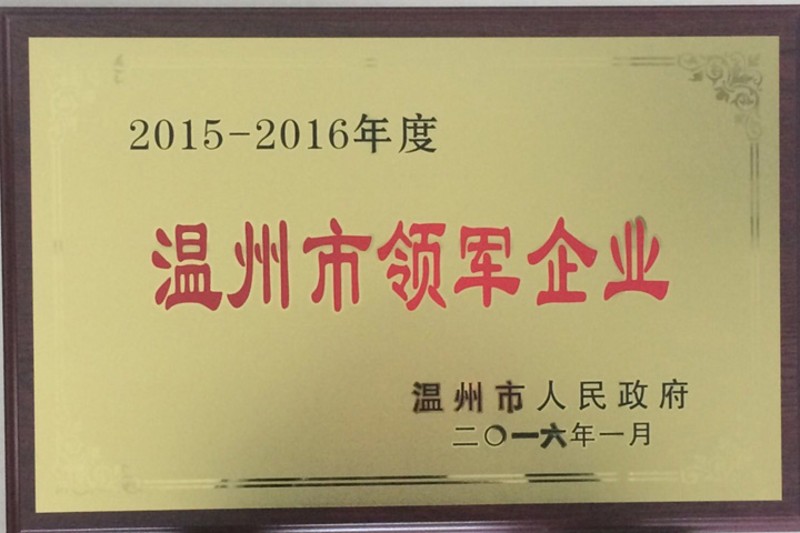 “2015—2016年度温州市领军企业”——浙江8868体育榜上有名